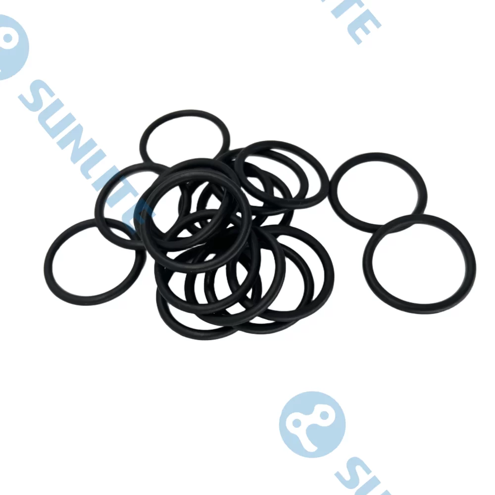 Sealing Ring-fs